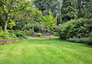 Optimiser l'expérience du jardin à Saint-Etienne-de-Chomeil